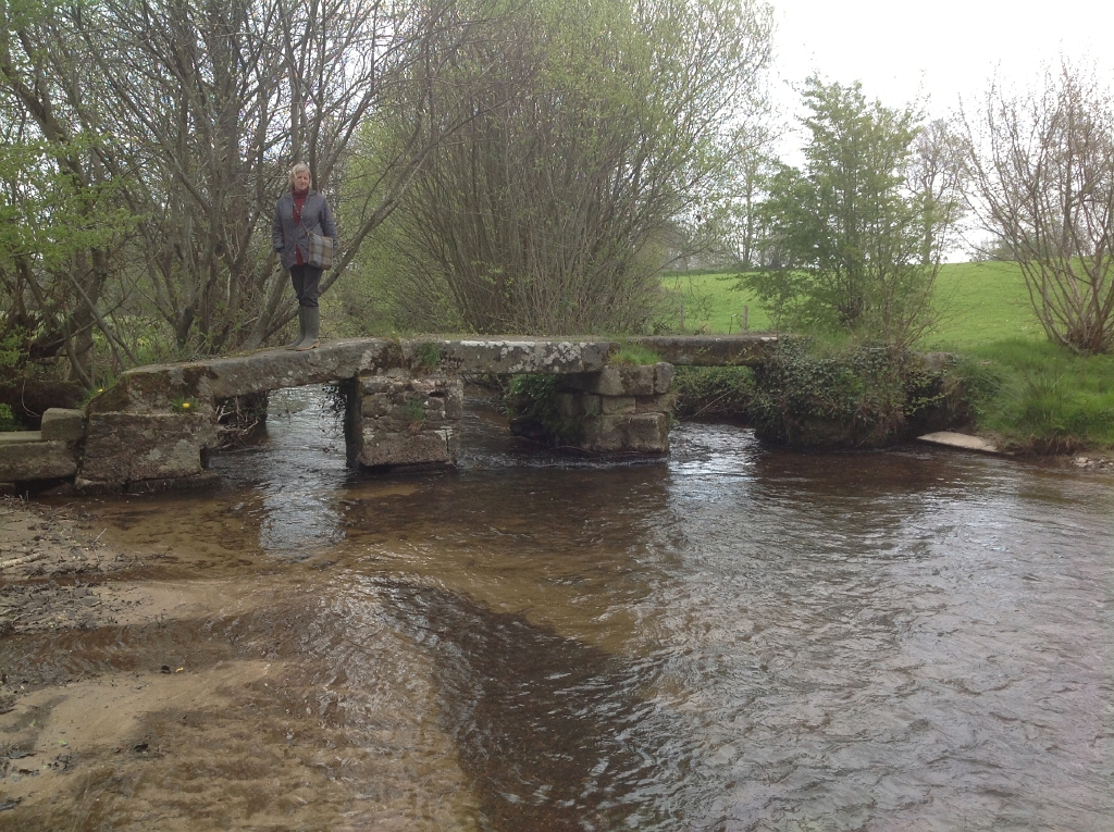 20130501 ST AUBIN-DES-BOIS Clapper Bridge 09.jpg